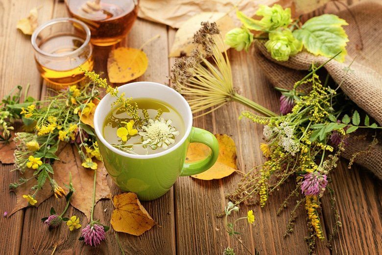 Fresh and dried herbs for tea arranged on linen